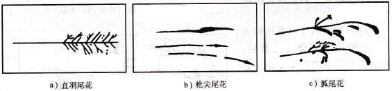 尾花形態(tài)示意圖